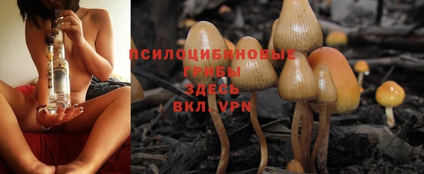 соль курить ск Аркадак