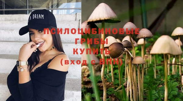 соль курить ск Аркадак