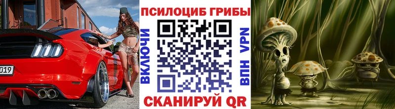 где продают наркотики Хилок blacksprut как войти Галлюциногенные грибы Magic Shrooms
